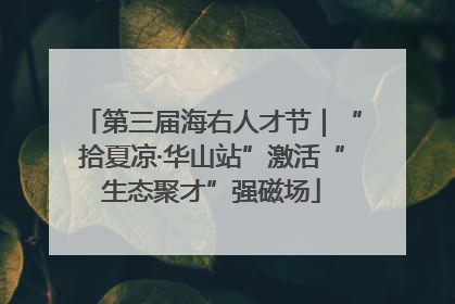第三届海右人才节｜“拾夏凉·华山站”激活“生态聚才”强磁场